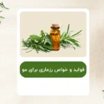 فواید و خواص رزماری برای مو + نحوه استفاده صحیح