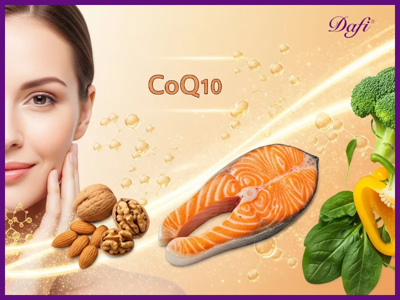 کوآنزیم Q10 چه فوایدی برای بدن دارد؟