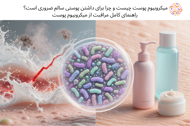 میکروبیوم پوست چیست و چرا برای داشتن پوستی سالم ضروری است؟ راهنمای کامل مراقبت از میکروبیوم پوست | مجله دافی